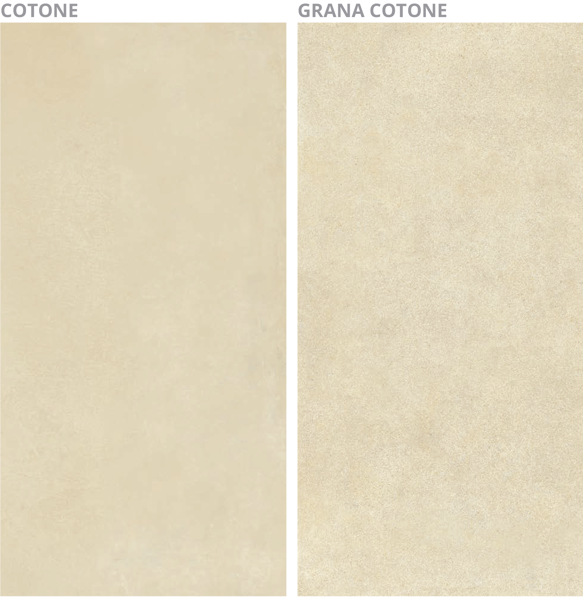 Imagen de la diapositiva