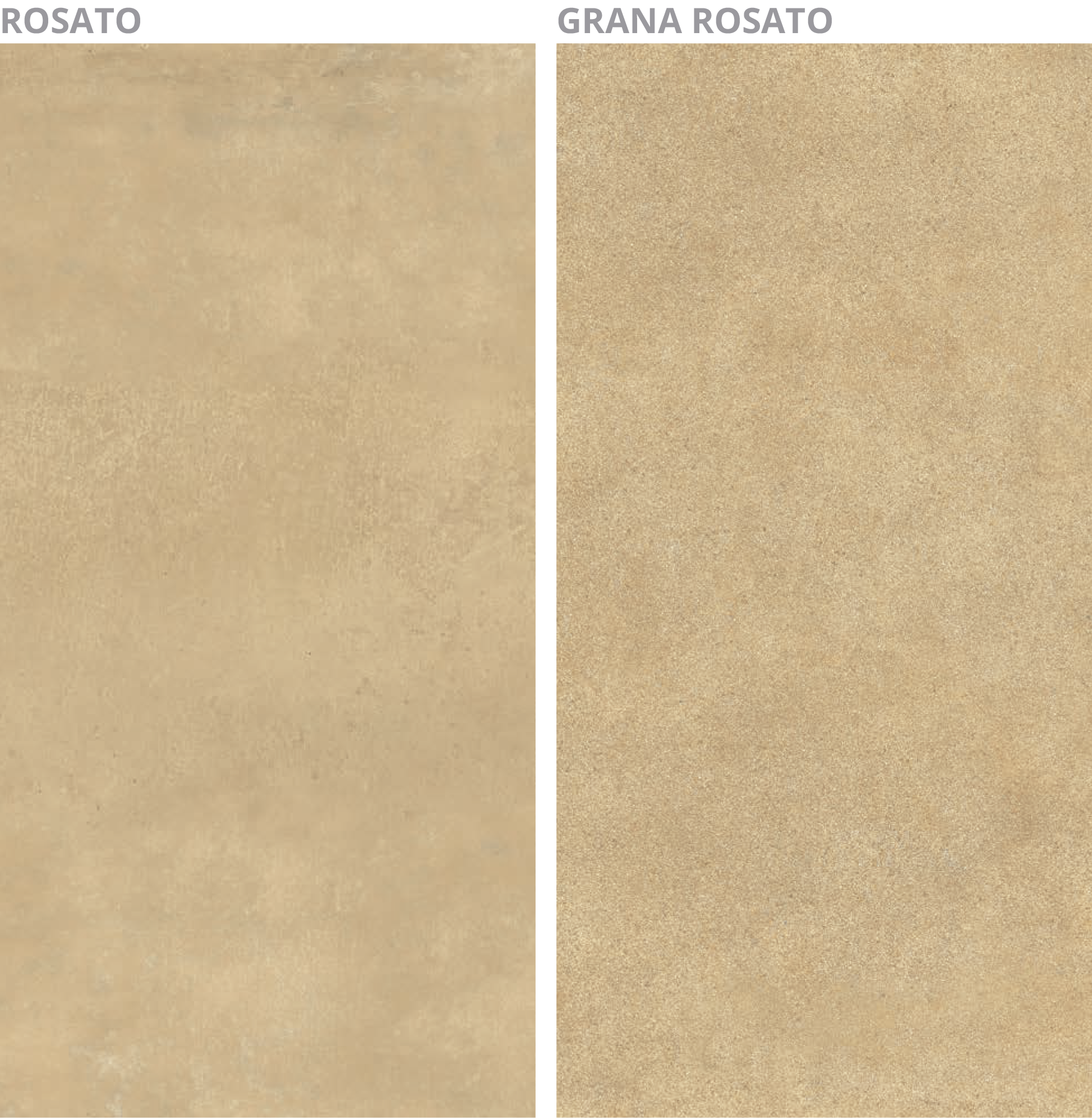 Imagen de la diapositiva