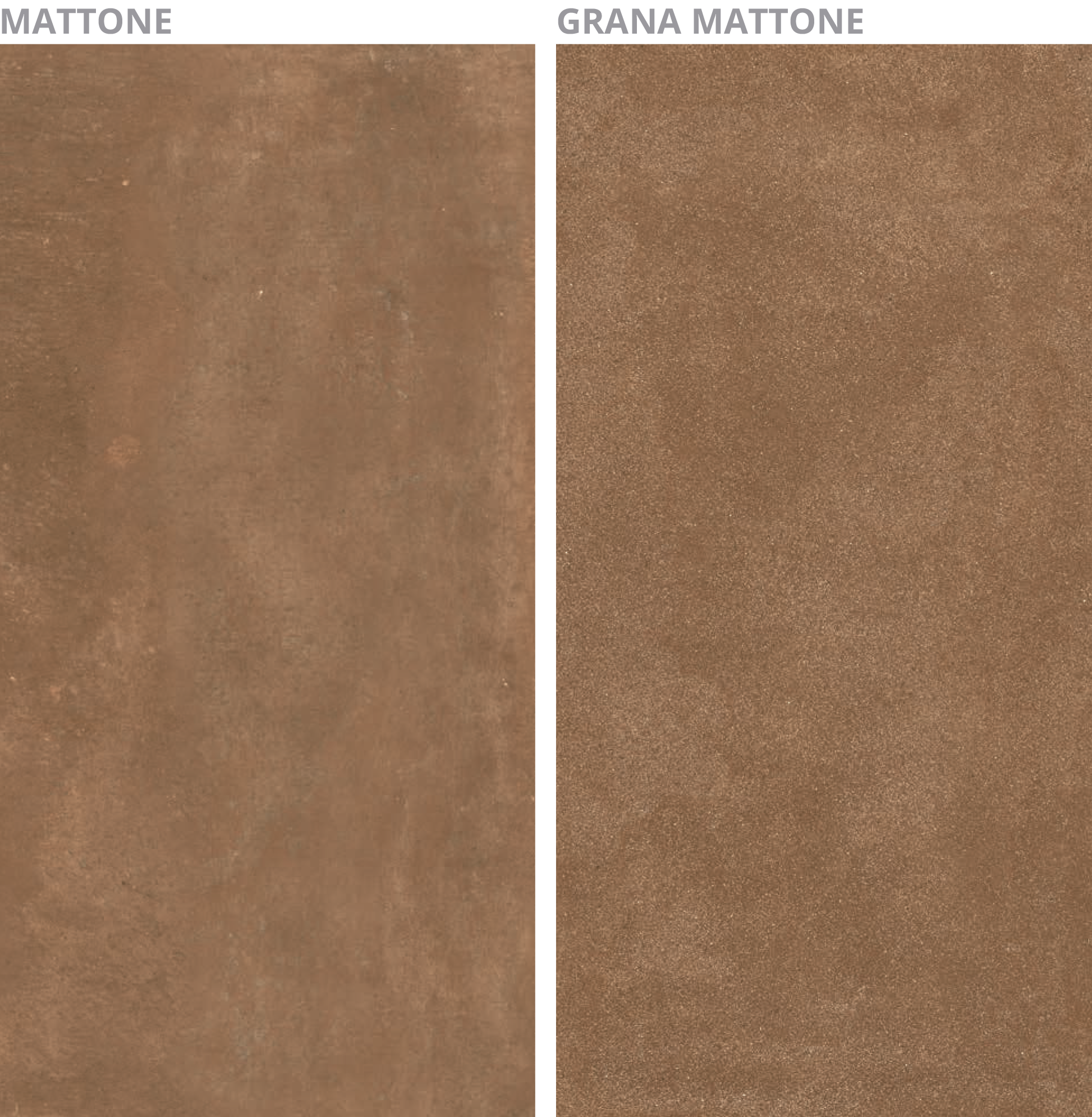 Imagen de la diapositiva